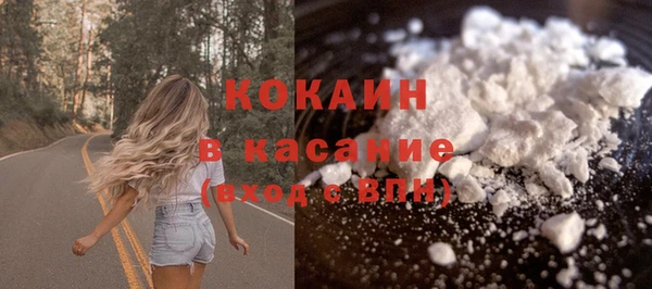 прущие грибы Приозерск